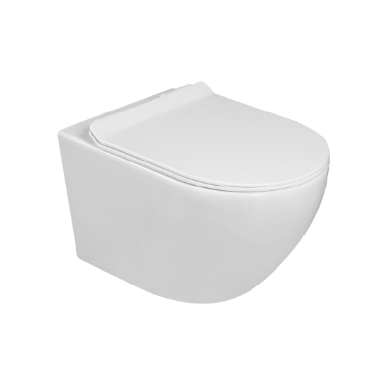 אסלות תלויות \ סמויות